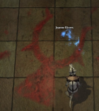 Rune, painted in blood, on the floor of Joanne's room.