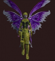 &quot;Faydwer Achievements Armor Crate&quot; - Vrix Voidblight, Chosen of the Shadows, Antonia Bayle.