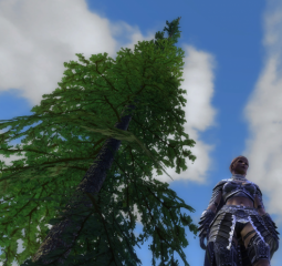 This pine tree knows no bounds (default size).
